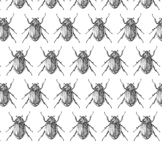 Platform: Música improvisada. Viernes 19 de diciembre. 20:00 hs